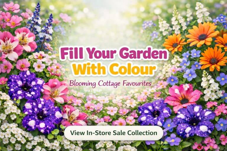 A colourful assortment of blooming cottage garden flowers from our Plant Nursery, with text promoting an in-store sale collection and the phrase "Fill Your Garden With Colour.