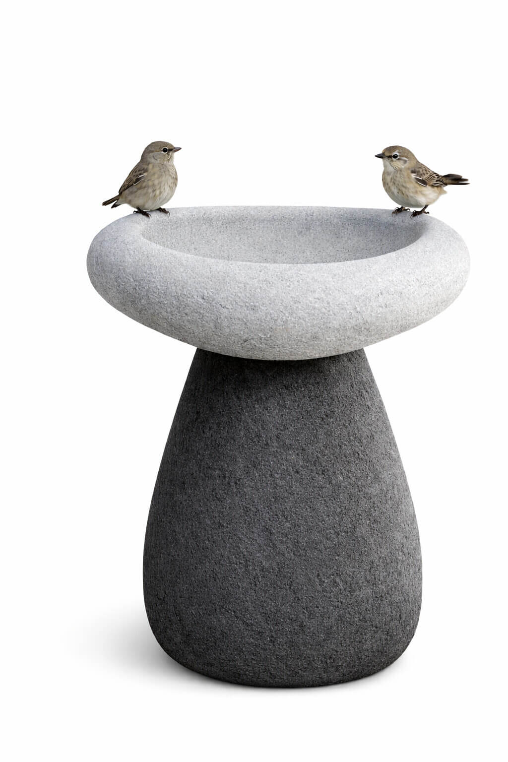 Two small birds perched on the rim of a modern, two-tone stone bird bath against a white background.
