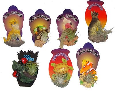 Six assorted 'Tillandsias Air Plant' Fridge Magnets feature animal designs such as cats, frogs, tortoises, fish, and ladybirds. Each is labelled "Cool Critters" or "Funky Friends" and holds a small air plant; some also serve as quirky fridge magnets.
