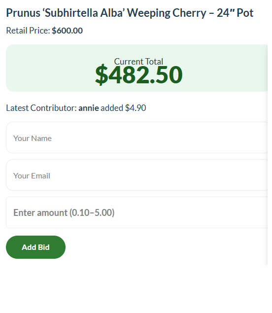 Online fundraising page for a "Prunus 'Subhirtella Alba' Weeping Cherry"—£482.50 raised of a £600 goal, with the latest £4.90 contribution! Don’t miss our Bougainvilleas Flash Sale whilst supporting this beautiful tree.