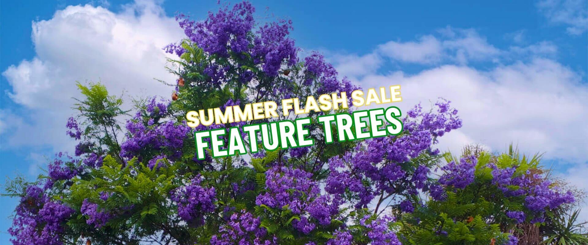 Tree with purple flowers under a blue sky with clouds. Text overlay reads, "SUMMER GROWERS DIRECT FLASH SALE FEATURED TREES.