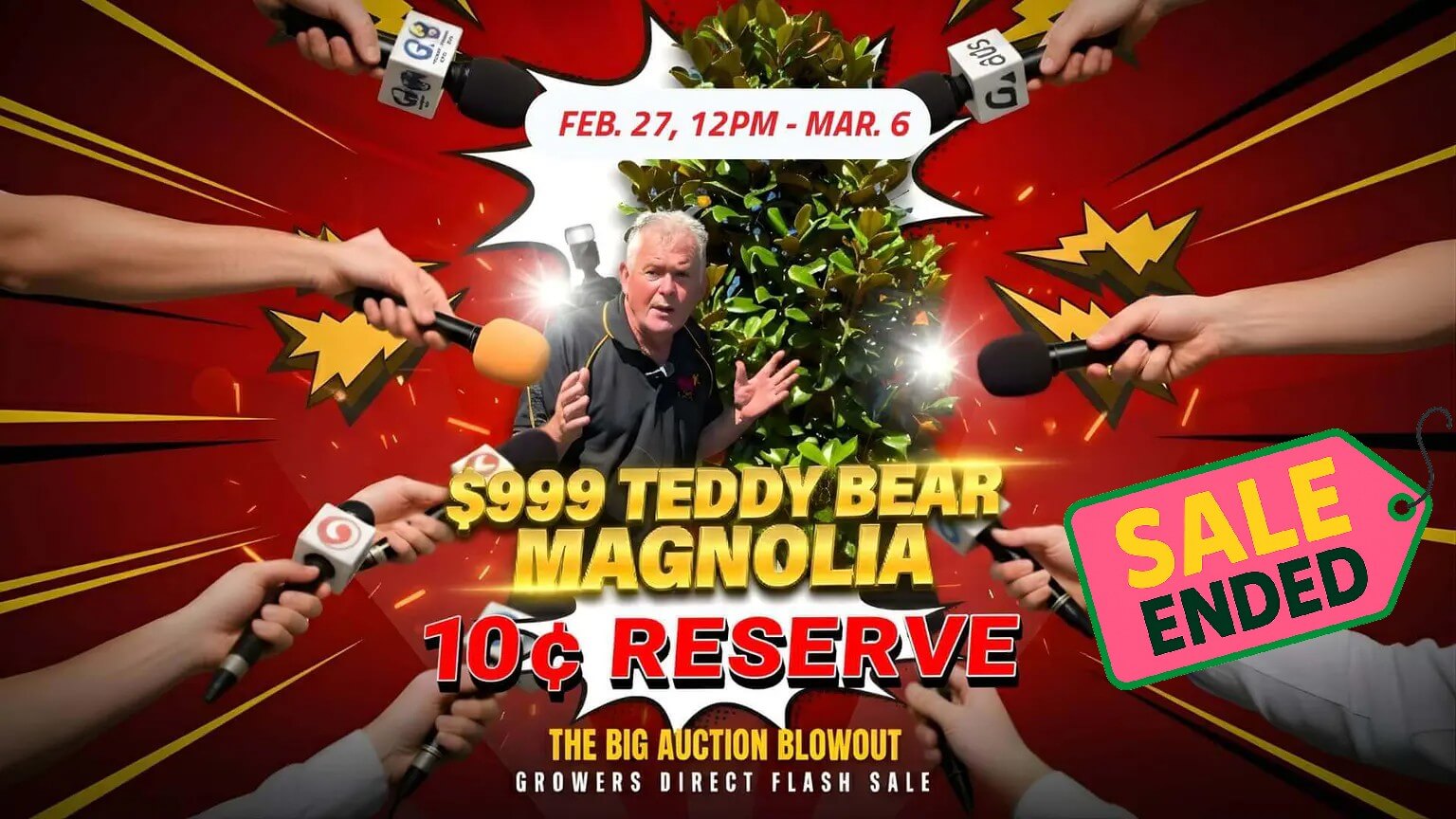 Man stands in front of a teddy bear magnolia tree, surrounded by microphones; text promotes a plant auction sale with event details and "SALE ENDED" boldly highlighted.
