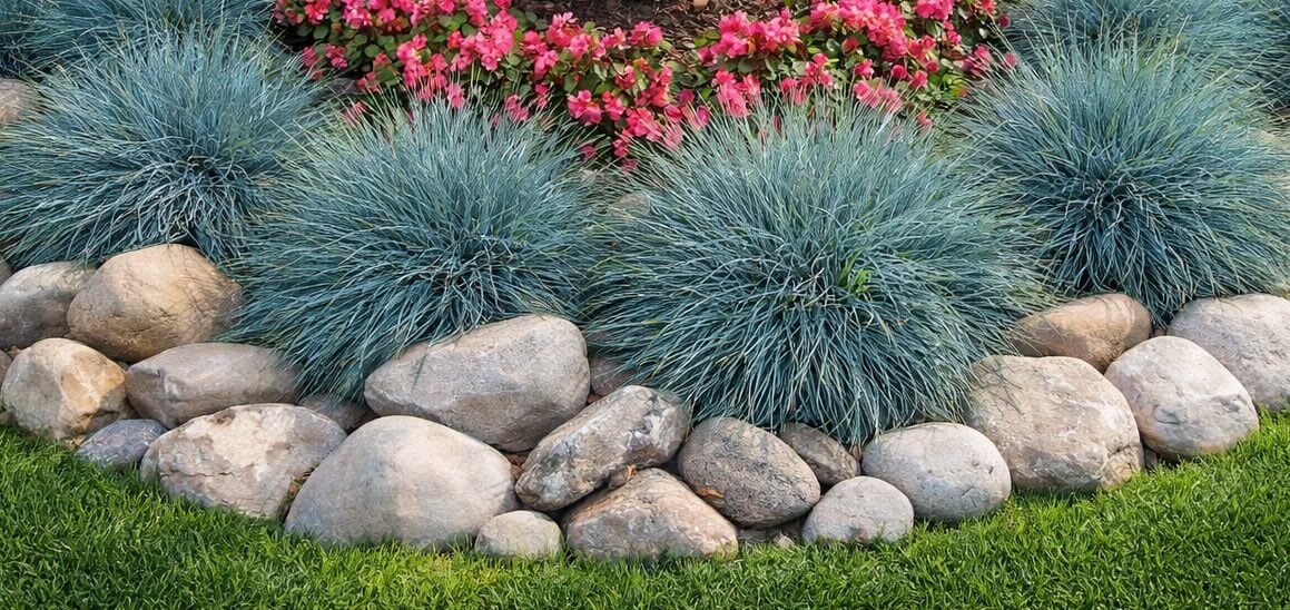 Ornamental blue grasses and pink flowering plants are bordered by large rocks and a neatly trimmed green lawn.