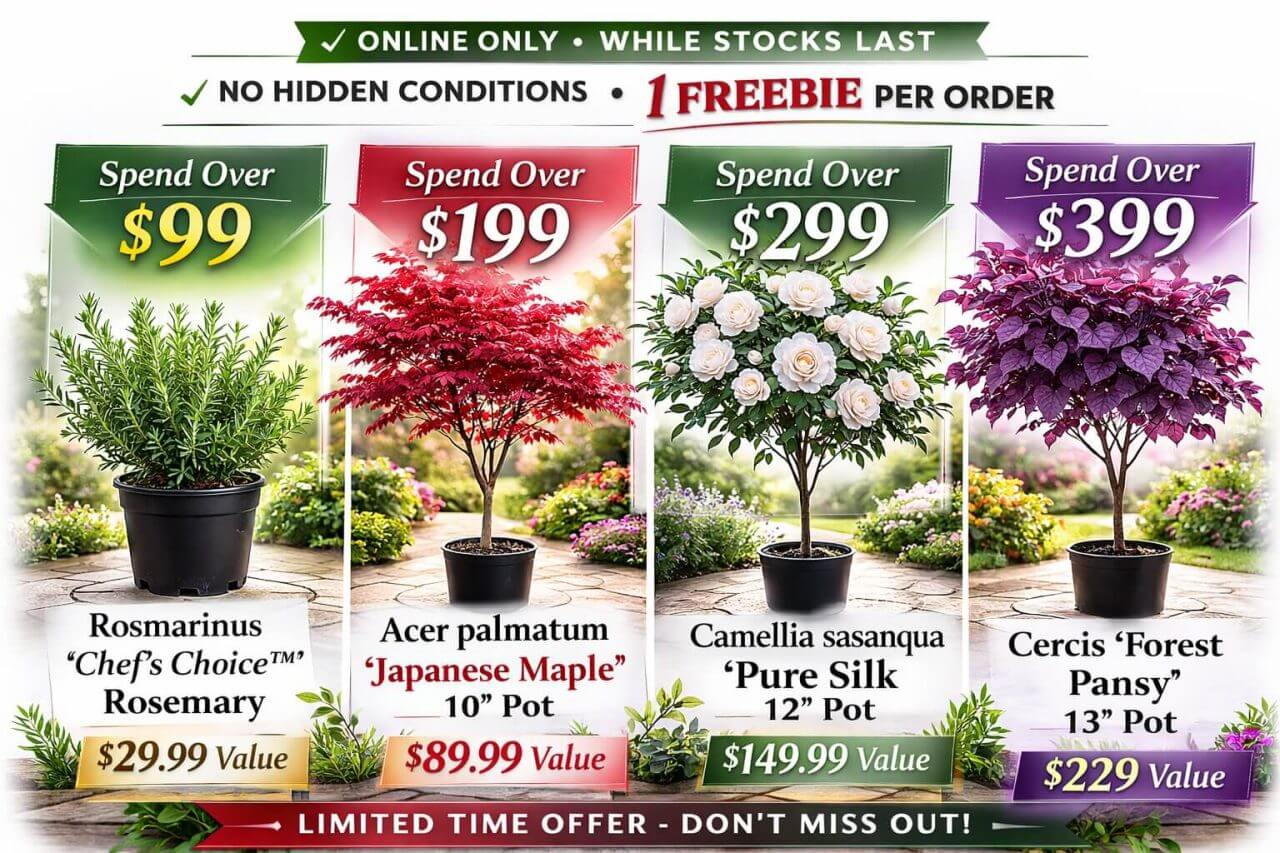 Online Exclusive: Free Premium Plants at Every Spend Tier