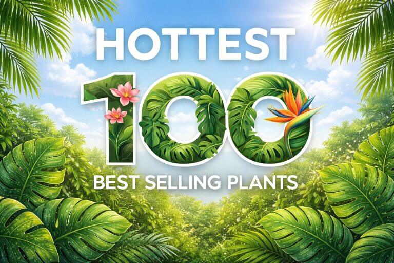 Text reads “Hottest 100 Best-Selling Plants” over a tropical jungle background, with lush leaves and flowers from our Plant Nursery decorating the number 100.