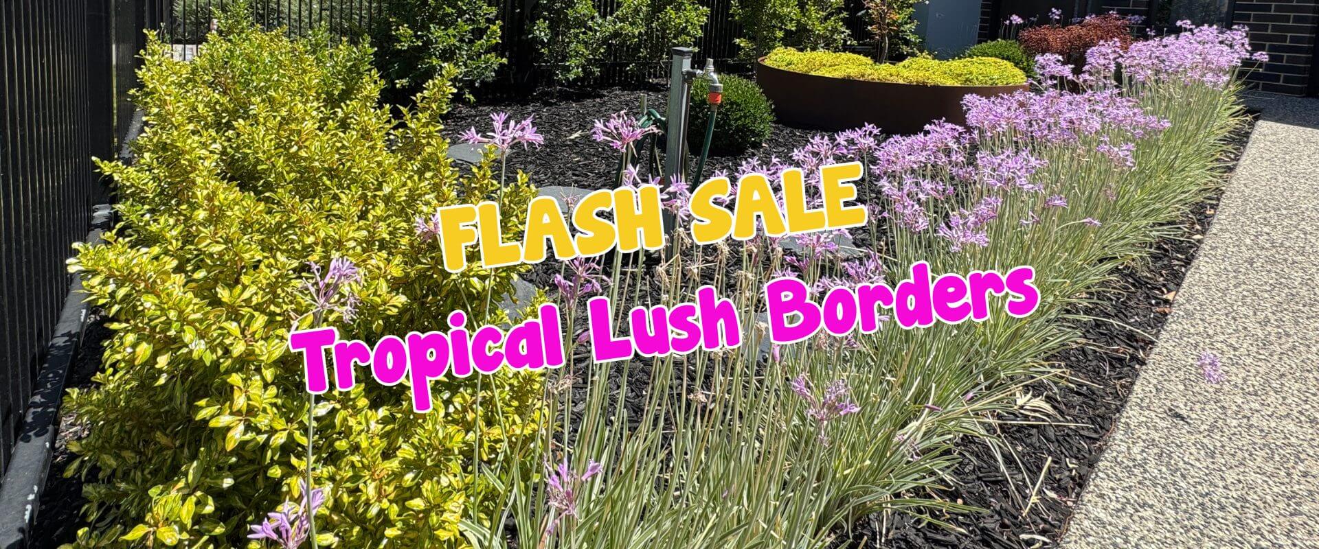 A garden border with green shrubs and purple flowers next to a gravel path. Text reads "Summer Growers Direct FLASH SALE – Tropical Lush Borders".
