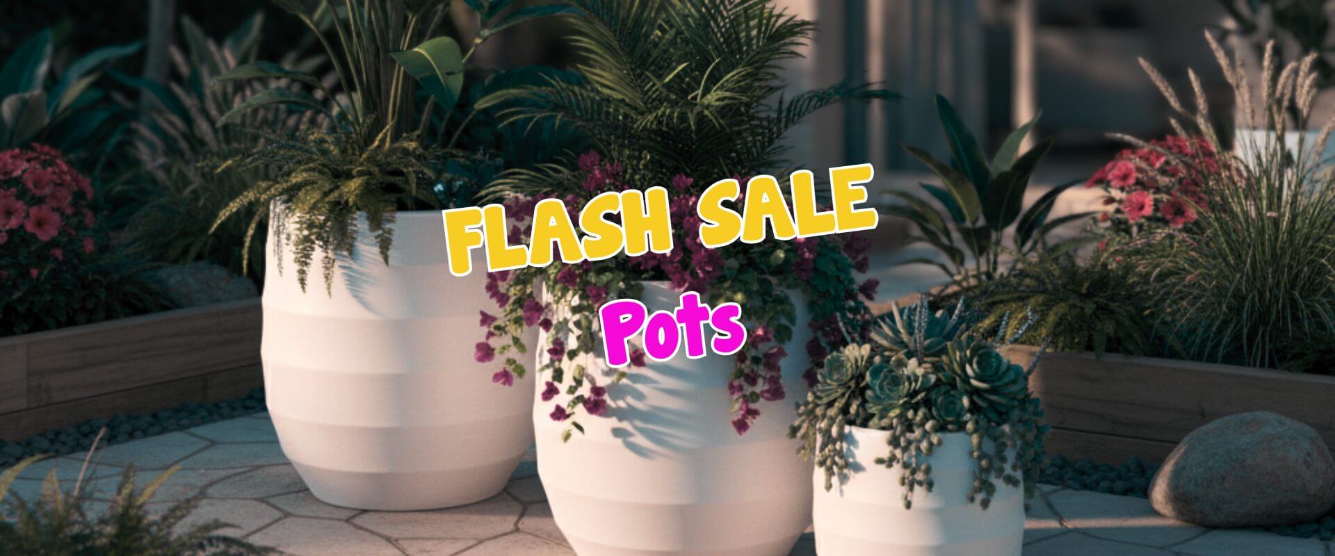 Three white plant pots filled with lush green plants and flowers, with "Summer Growers Direct Flash Sale" in bold, colourful font across the image.
