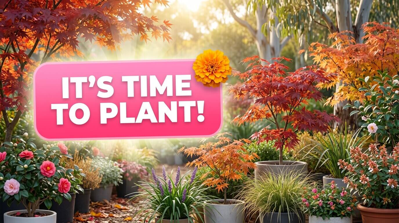 It’s Time To Plant