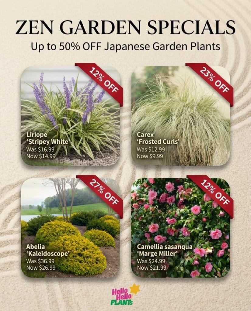 Four Japanese garden plants on sale with discounts: Liriope, Carex, Abelia, and Camellia sasanqua. "ZEN GARDEN SPECIALS" headline at top highlights the Holiday Plant Sale with old vs new prices and percentage off for each plant.