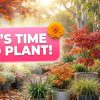 Potted plants and flowers in a sunlit garden. A pink sign in the foreground reads "IT'S TIME TO PLANT!" with an orange flower graphic, inviting you to join the Holiday Plant Sale.