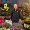 A man stands in front of colourful flowers and plants with gold Chinese zodiac symbols, a horse illustration, and lanterns at the Holiday Plant Sale, celebrating the Year of the Fire Horse 2026.